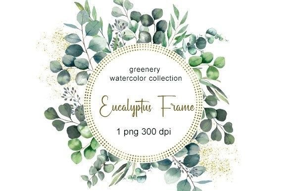 Eucalyptus Watercolor Clipart for Embroidery: A Designer’s Honest Review