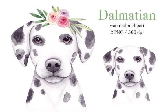 h1Watercolor Dalmatian PNG: A Playful Illustration for Local Branding & Packagingh1