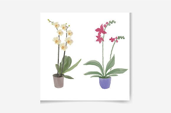 h1Watercolor Flower Pot Illustration for Branding and Creative Projects/h1