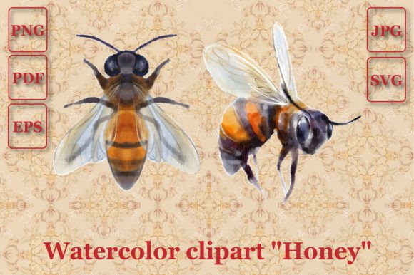 Honeybee Watercolor Color Vector Drawing & Illustrations