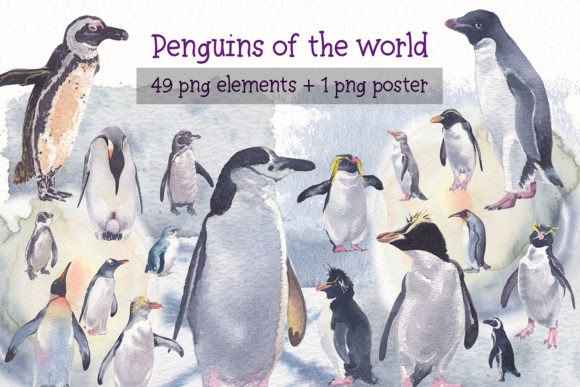 Penguins of the World Watercolor Clipart: A Brand Designer’s Honest Review for Marketing Use