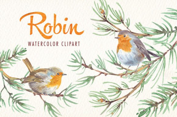 Robin Bird Watercolor Clipart: A Soft, Nature-Inspired Illustration for Handmade Crafters