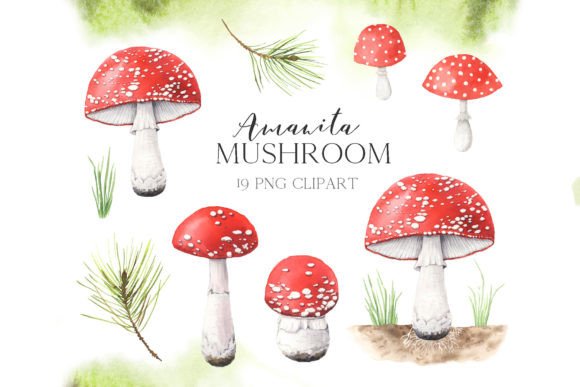 Watercolor Amanita Mushrooms PNG Clipart for Local Branding and Packaging Design