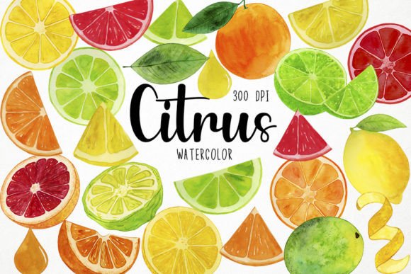 Watercolor Citrus Clipart, Fruit Slices – A Practical Review for Digital Sellers