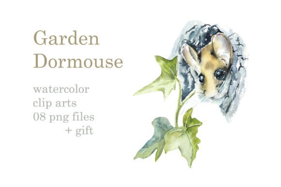 Watercolor Garden Dormouse Illustrations Bring Whimsical Charm to Branding Projects