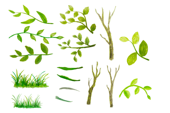 Watercolor Grass, Leaves, and Branch Illustrations for Organic Branding and Natural Design Themes