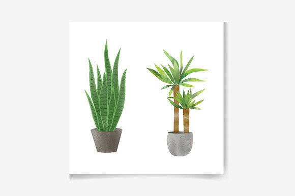 Watercolor Indoor House Plant Illustrations for Crafters & Handmade Sellers