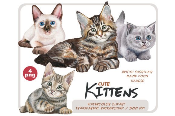 Watercolor Kittens Illustrations: A Blog Designer’s Review for Real Content Publishing