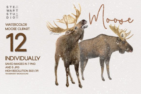 Watercolor Moose Clipart: Illustrations That Bring Nature-Inspired Charm to Branding