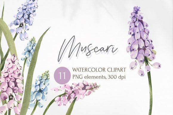 Watercolor Muscari Flowers Illustrations: A Fresh Design Asset for Brand Storytelling