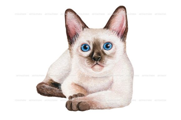 Watercolor Siamese Kitten Illustration: A Charming Addition to Local Brand Visuals