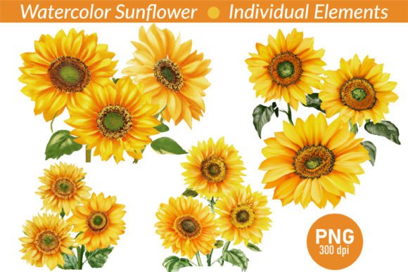 Watercolor Sunflower Clipart: A Brand Designer’s Review for Marketing & Illustrations